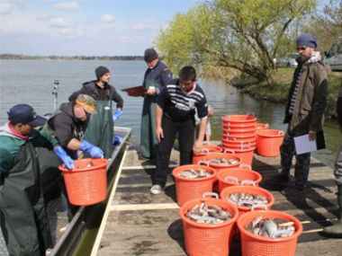 Consulting Services for Biodiversity and Water Protection Lake Palić and Lake Ludaš